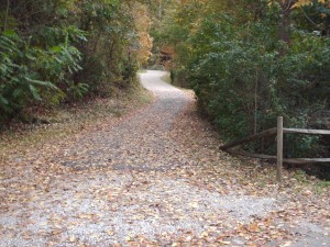 Fall
