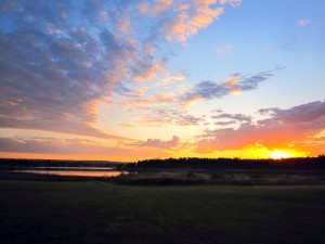 Morning Sunrise